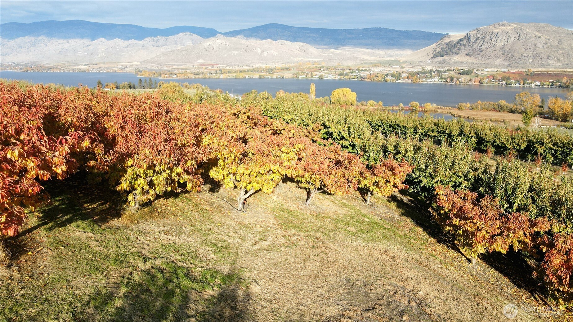 1 Tom Dull Road Oroville WA 98844