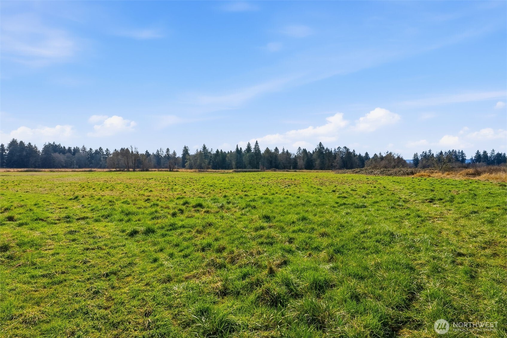 957 W State Route 4 Cathlamet WA 98612