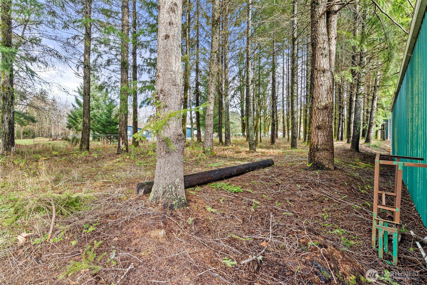 200 SE Clearwater Ridge Shelton WA 98584