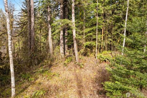 10211 Mount Baker Highway Deming WA 98244