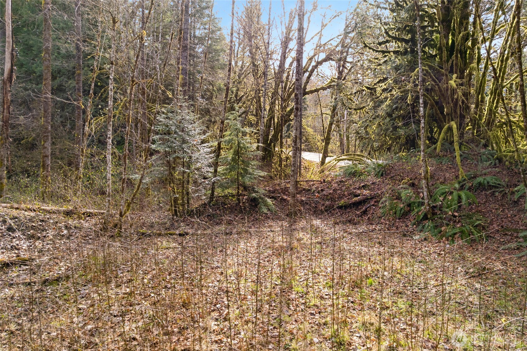 10211 Mount Baker Highway Deming WA 98244