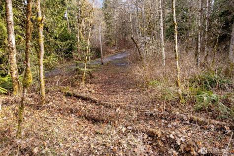 10211 Mount Baker Highway Deming WA 98244