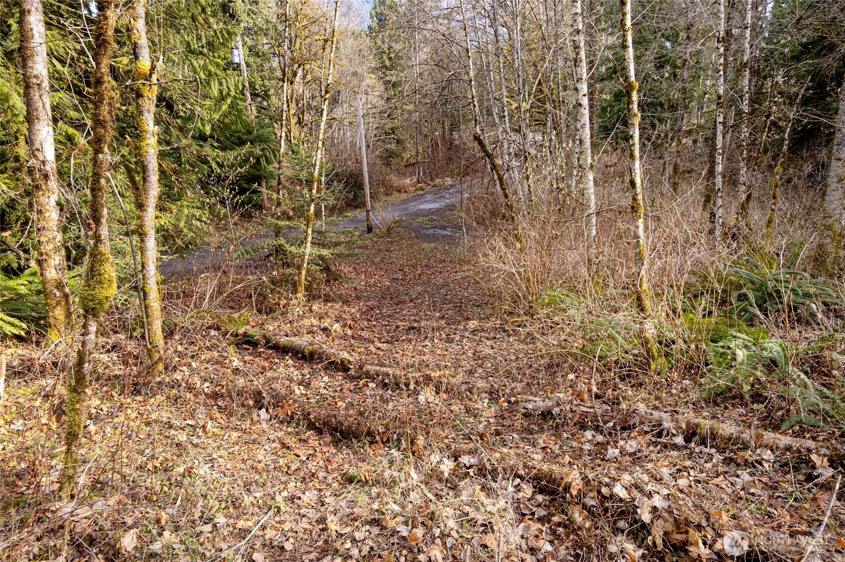 10211 Mount Baker Highway Deming WA 98244