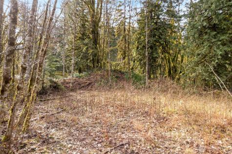 10211 Mount Baker Highway Deming WA 98244