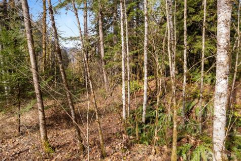 10211 Mount Baker Highway Deming WA 98244