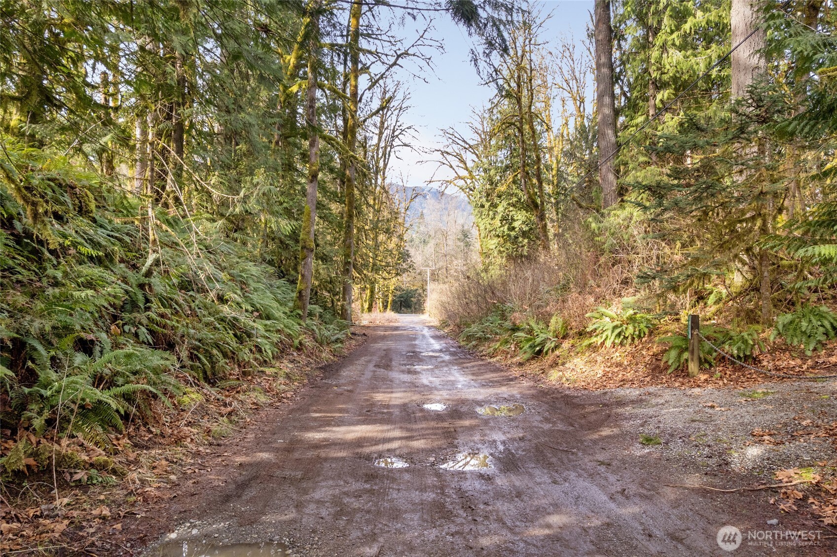 10211 Mount Baker Highway Deming WA 98244