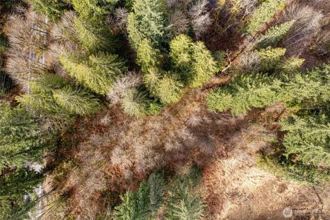 10211 Mount Baker Highway Deming WA 98244