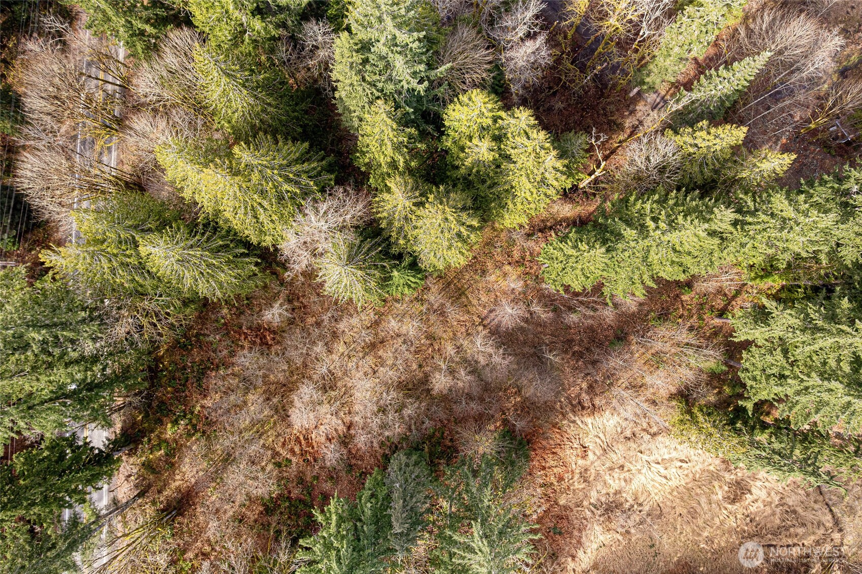 10211 Mount Baker Highway Deming WA 98244