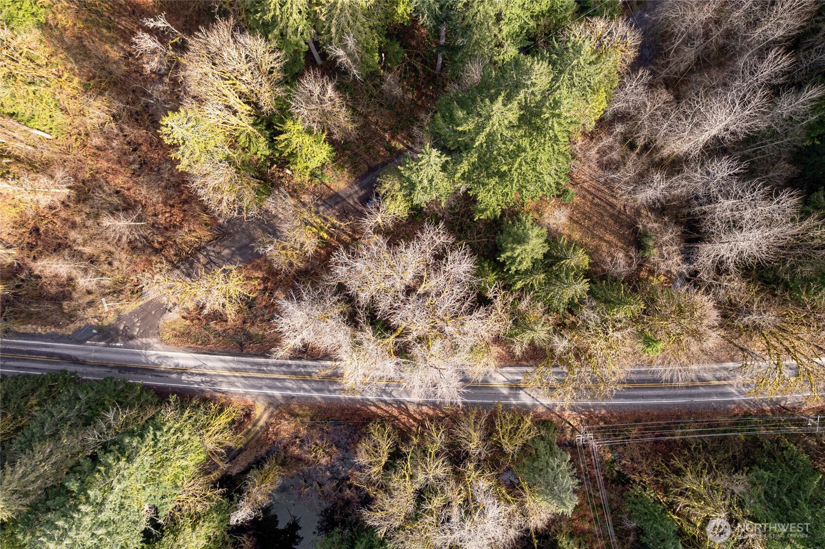 10211 Mount Baker Highway Deming WA 98244