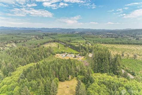 3389 Us Highway 101 Humptulips WA 98552