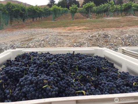 70 E Wapato Lake Road Manson WA 98831