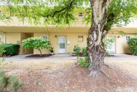 4733 Terrace Drive NE Seattle WA 98105
