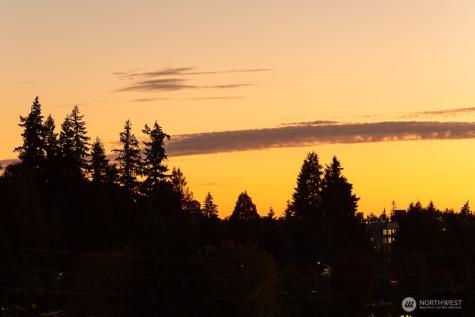 13211 NE 127th Way Kirkland WA 98034