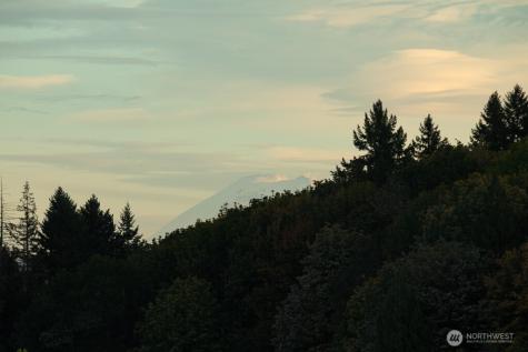 13211 NE 127th Way Kirkland WA 98034