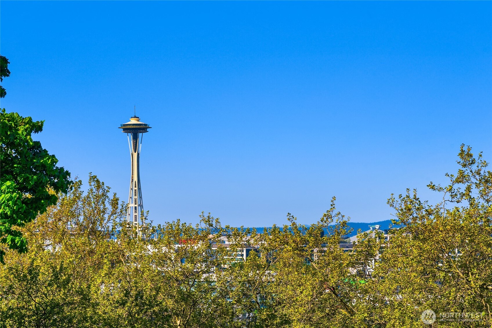 1114 Lakeview Boulevard E Seattle WA 98102