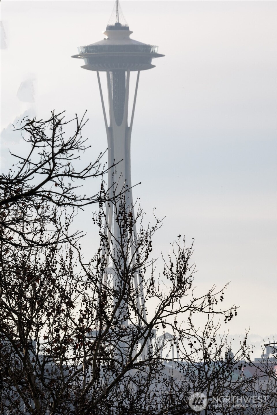1114 Lakeview Boulevard E Seattle WA 98102