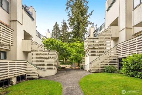 1019 156th Avenue NE Bellevue WA 98007