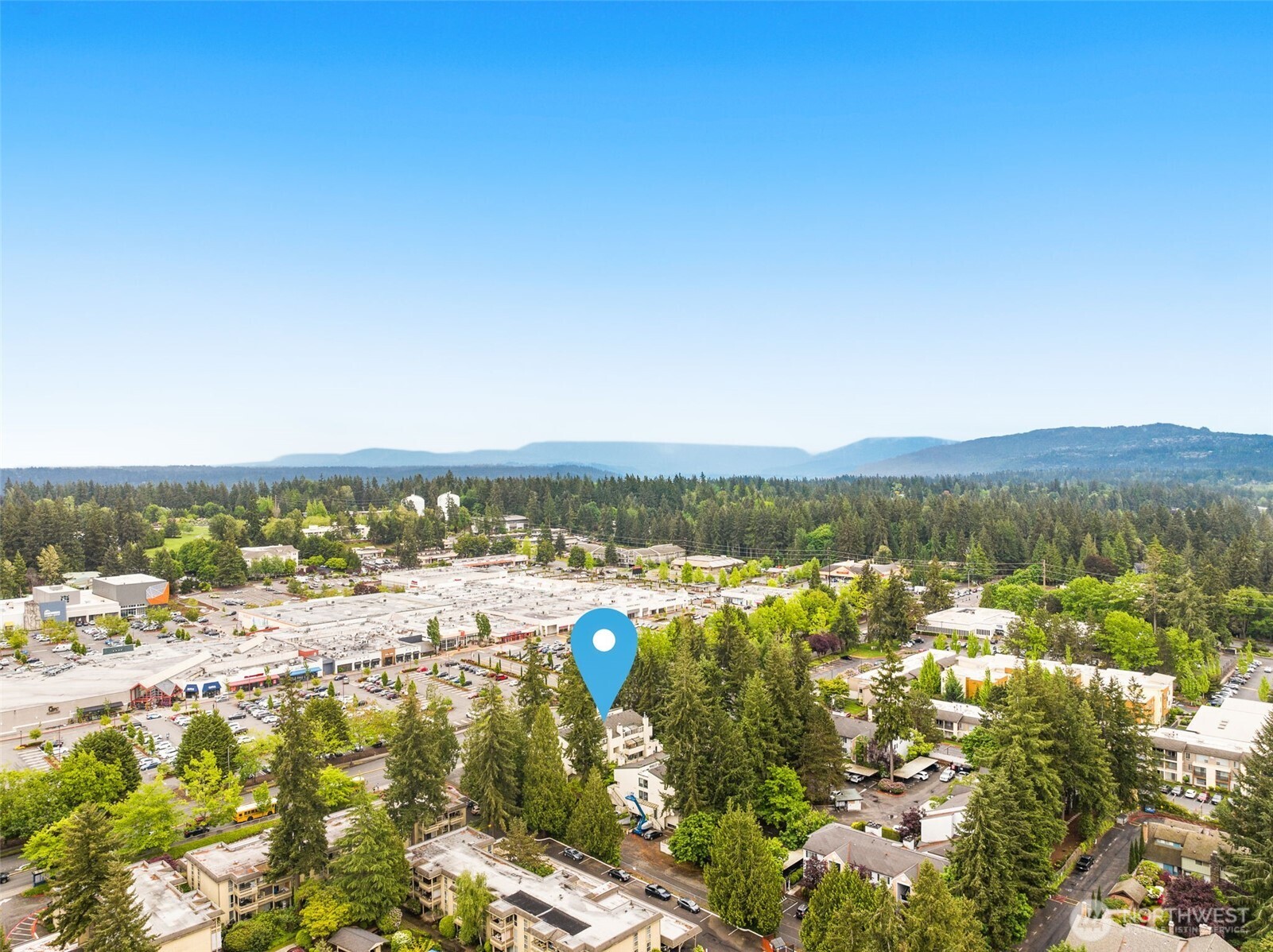 1019 156th Avenue NE Bellevue WA 98007