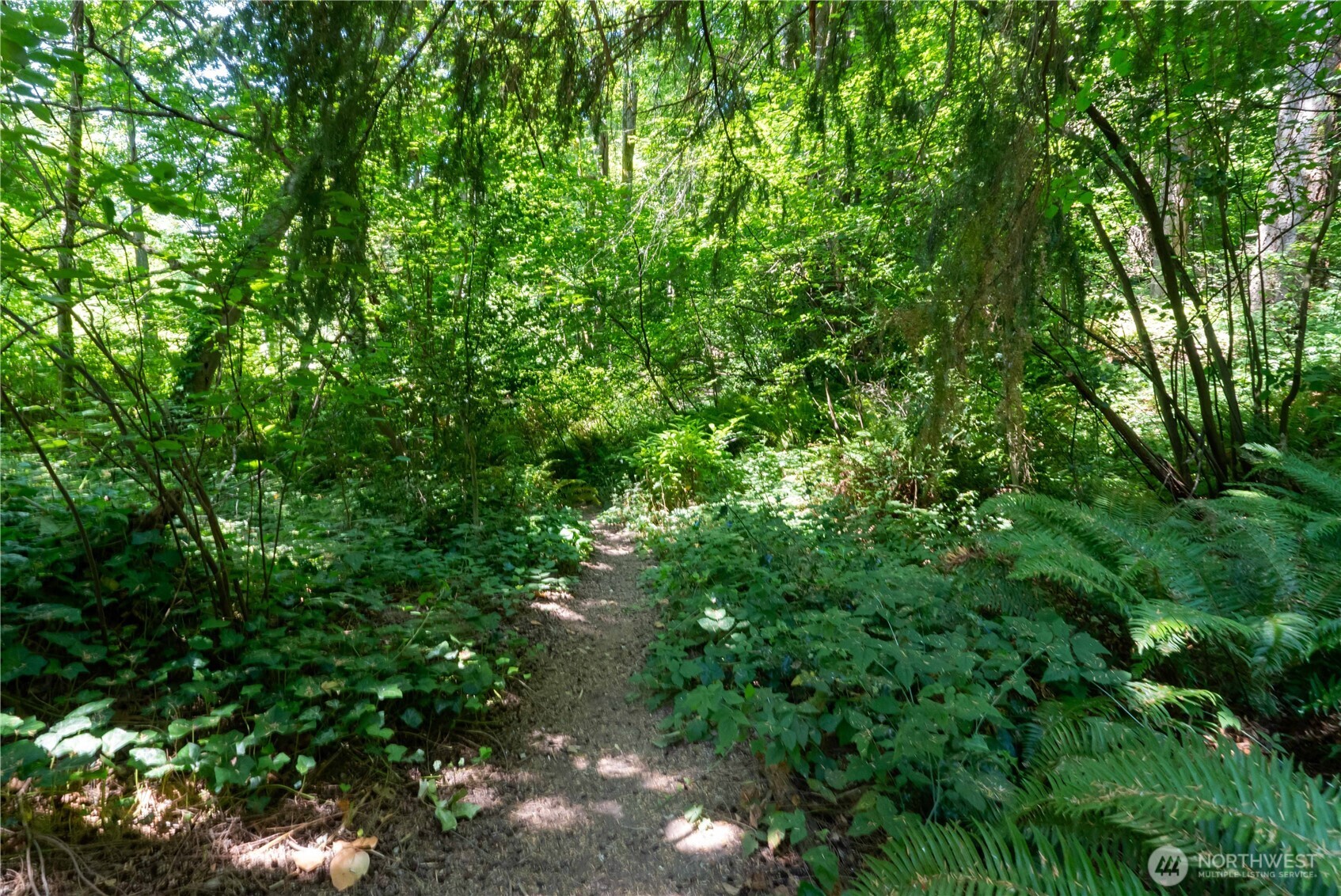 13235 12th Avenue SW Burien WA 98146