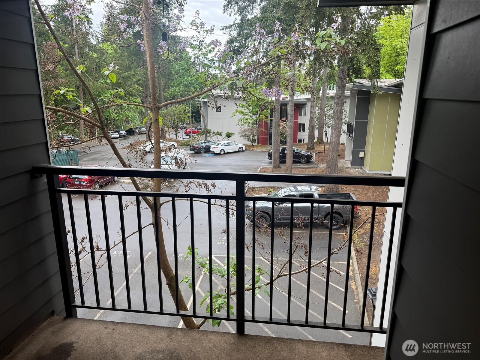14556 NE 31st Street Bellevue WA 98007