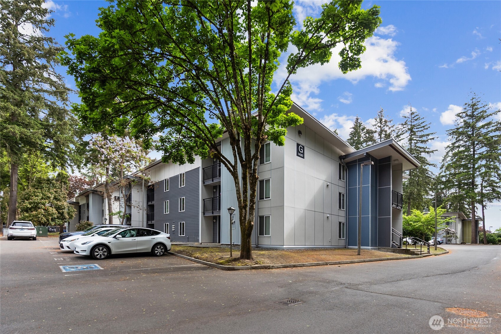 14556 NE 31st Street Bellevue WA 98007