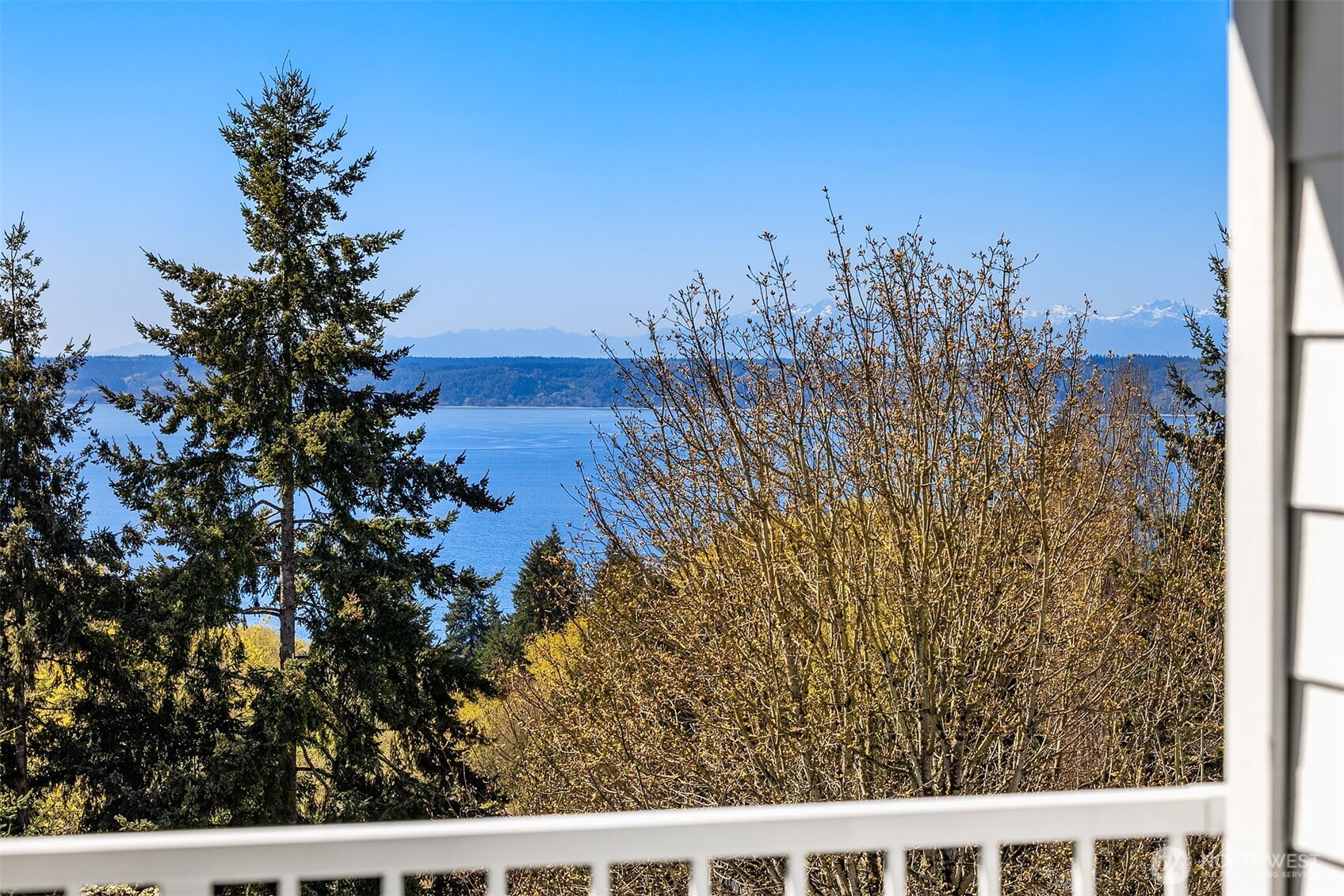 28602 16th Avenue S Federal Way WA 98003
