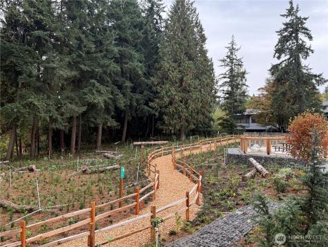 1151 129th Court NE Bellevue WA 98005