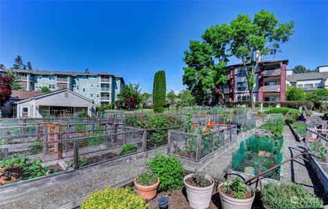 22553 SE 37th Terrace Issaquah WA 98029
