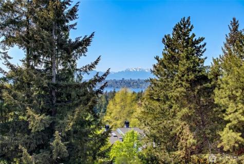 11110 NE 41st Drive Kirkland WA 98033