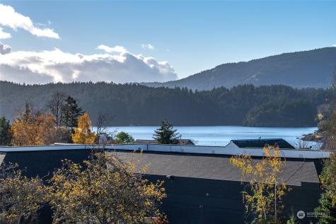 231 Madrona Street Orcas Island WA 98245