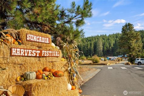 3600 Suncadia Trail Cle Elum WA 98922