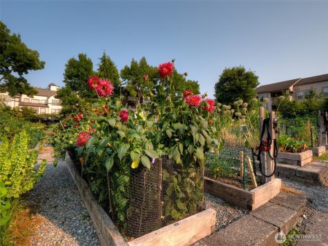 4222 221st Place SE Issaquah WA 98029