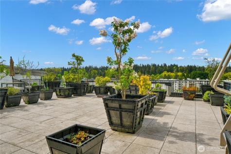 12334 31st Avenue NE Seattle WA 98125