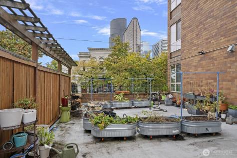 905 Cherry Street Seattle WA 98104