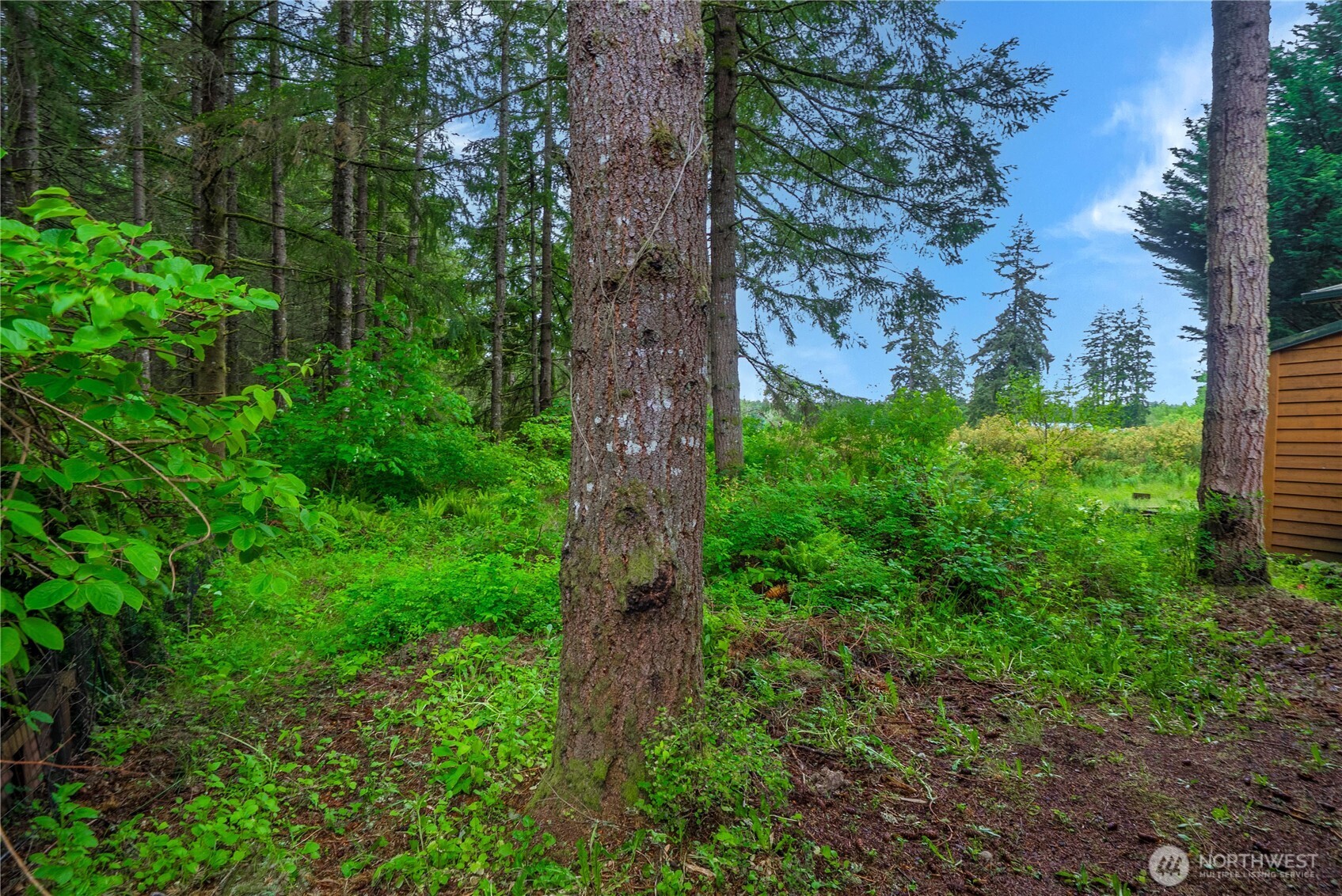 1546 Reservation Rd SE Olympia WA 98513
