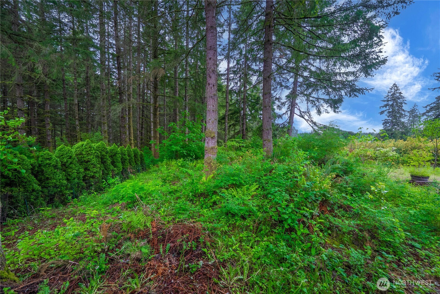 1546 Reservation Rd SE Olympia WA 98513