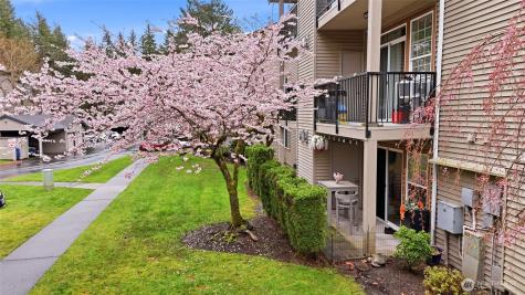 25025 SE Klahanie Boulevard Sammamish WA 98029