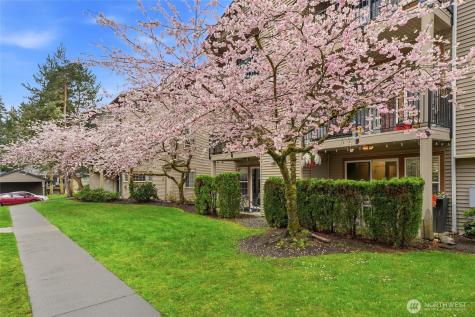 25025 SE Klahanie Boulevard Sammamish WA 98029