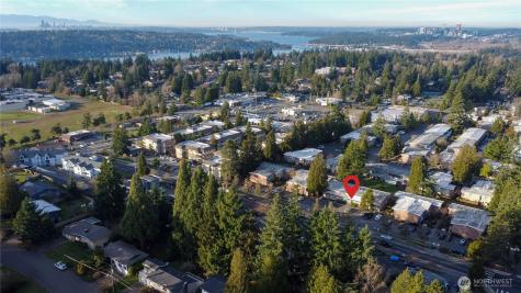 12230 SE 60th Street Bellevue WA 98006