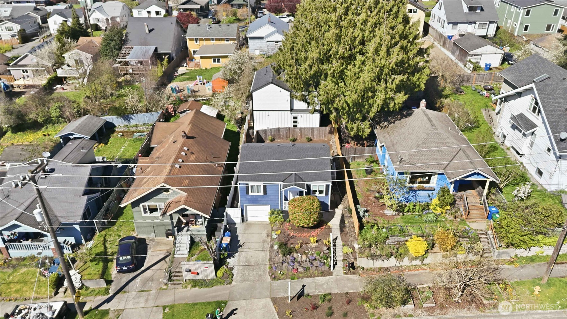 3536 S Brandon Street Seattle WA 98118