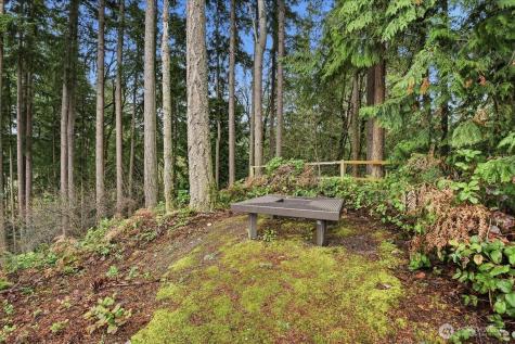 63 Cougar Ridge Road NW Issaquah WA 98027