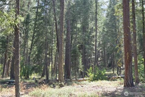 17798 Highway 20 Mazama WA 98833
