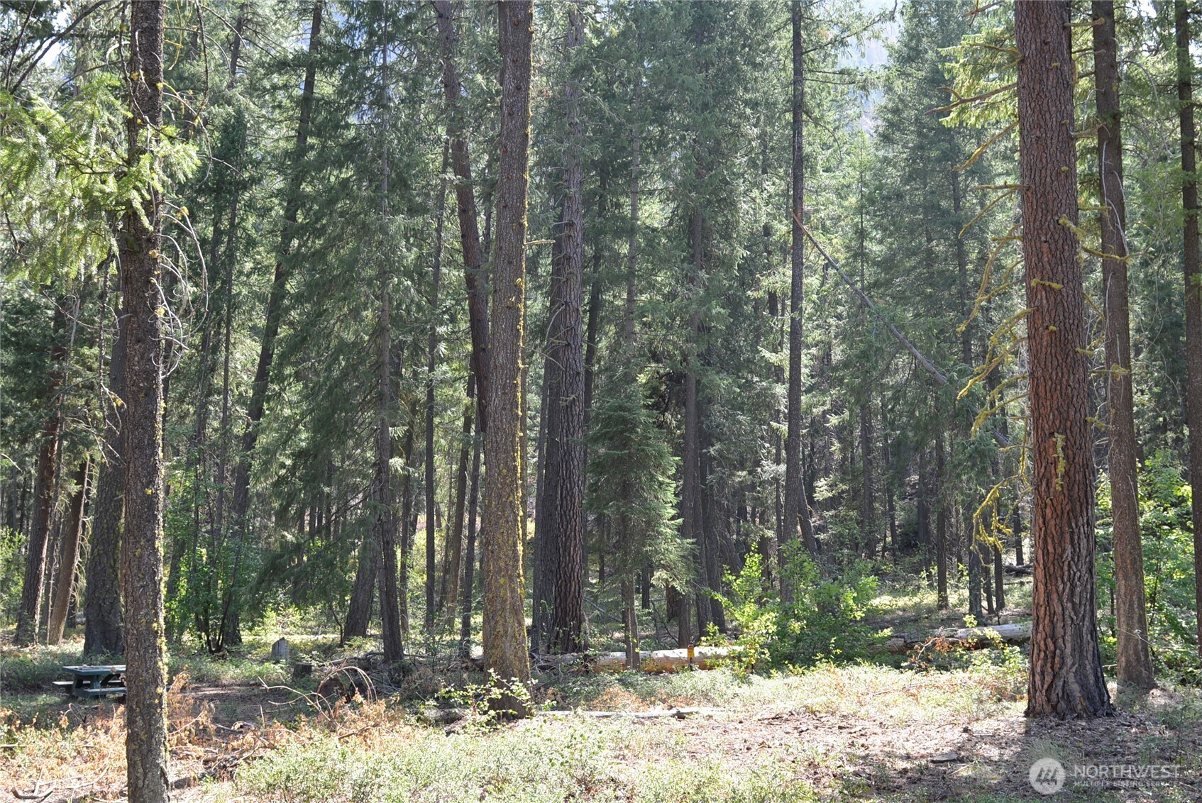 17798 Highway 20 Mazama WA 98833
