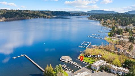 17203 NE 45th Street Redmond WA 98052