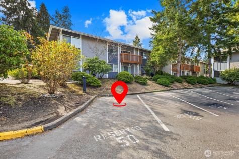 17203 NE 45th Street Redmond WA 98052