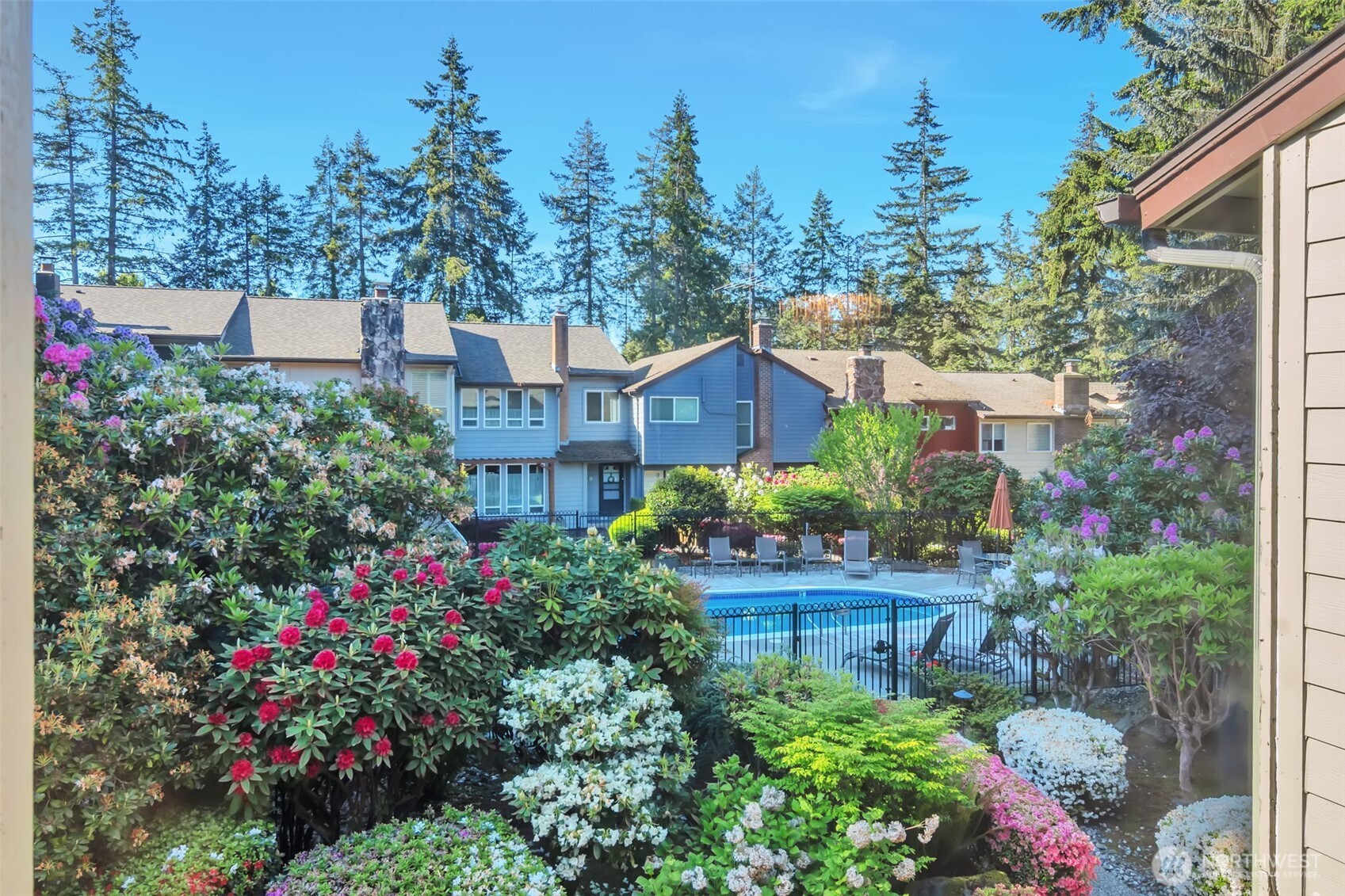 1035 156th Avenue NE Bellevue WA 98007