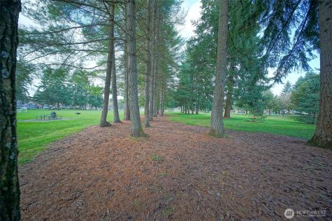 6001 Merlot Lane SE Lacey WA 98513