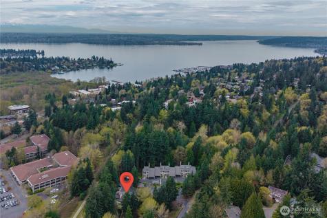 3911 108th Avenue NE Bellevue WA 98004