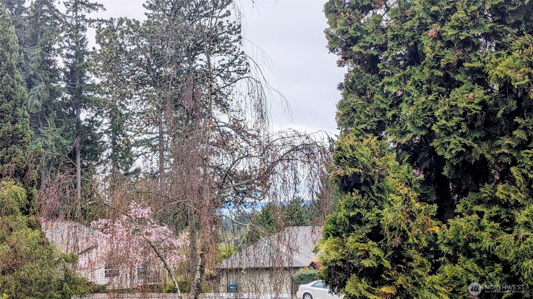 8111 46th Place W Mukilteo WA 98275