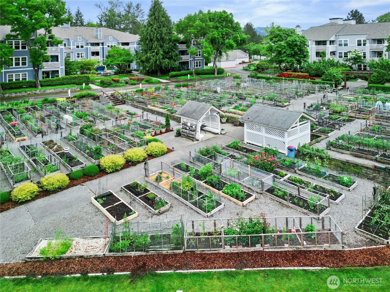 22215 SE 42nd Lane Issaquah WA 98029